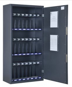 кедр24