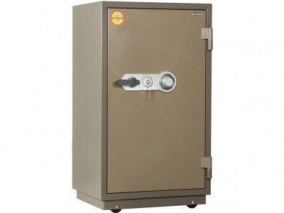 RFS-99. T-CL (2)