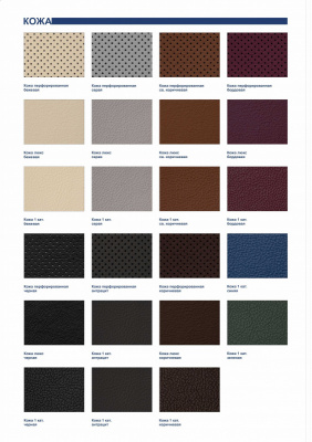 Натуральная кожа